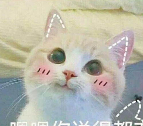 太沙雕了,你见过最丑的马桶是什么样的网友评论绝了