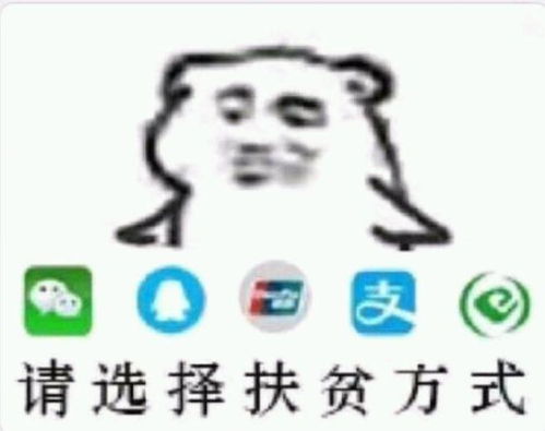 有什么好玩的表情包