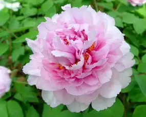 2019年4月14日