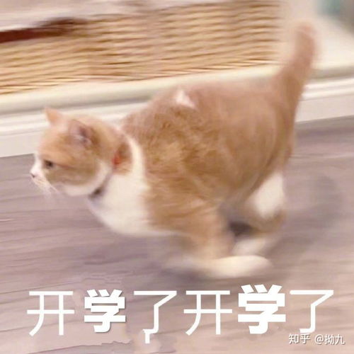 开学了,你高兴吗