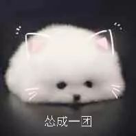 情侣对骂表情包小声bb......