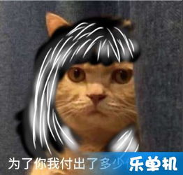 橘猫表情包大全橘猫表情包是哪只猫橘猫表情包出处