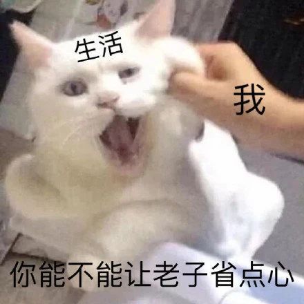 最新表情包图片就知道欺负我