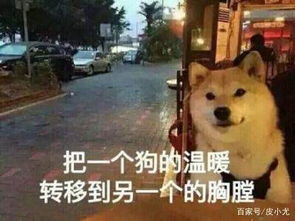 为了不让我们早恋,父母都出过什么狠招网友特地给了我这张脸