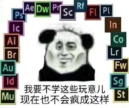 真好的表情包动图哥哥