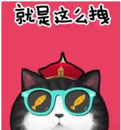 我们喵星人就是这么拽高清完整版下载我们喵星人就是这么拽表情包免费版下载v1.0无水印极速下载