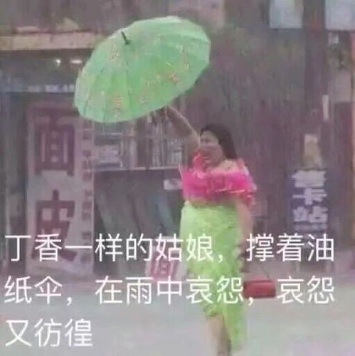 学习表情包你们别捣乱,我搁这学习呢