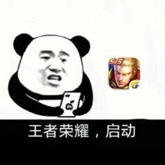 王者荣耀搞笑表情图我凭勇气开的团,为什么说我瞎带节奏