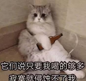 养猫养久了,会有这样的变化,是你么