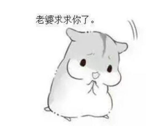 哄老婆表情包大全老婆大人对不起好喜欢老婆我老婆超级可爱