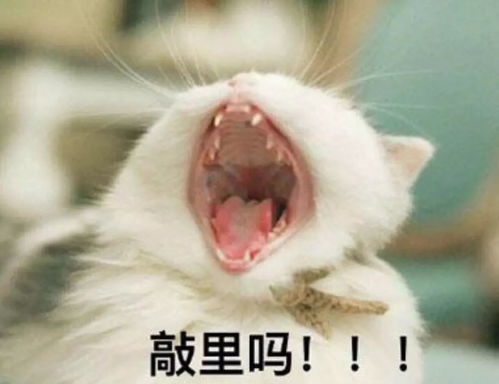 pte简单,2018热搜榜单最大谎言之一
