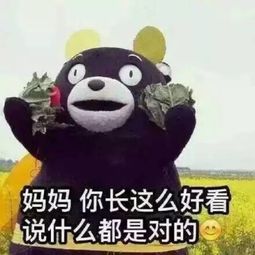 有一种装修风格,叫爸妈的审美