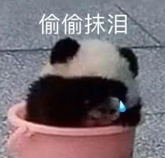 美术生学了美术后会有什么变化