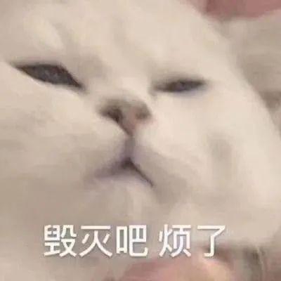 凭什么留学工科男在鄙视链底端