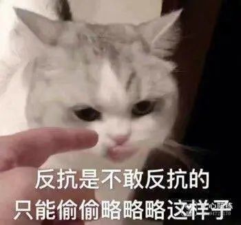 经常喝玫瑰花茶会怎么样