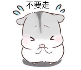 哄老婆表情包老婆大人对不起好喜欢老婆我老婆超级可爱