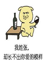 我姓李却离不开你图片好玩吗我姓李却离不开你图片怎么玩用户评论