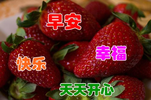 朋友圈最美特漂亮早上好表情包,2021最美早晨好动态图片大全