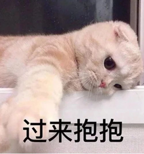 和对象聊天表情包可爱