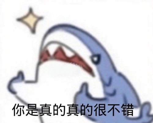 快速掌握六门乐器后我决定参加青春有你10的海选