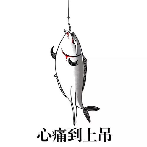 内黄2017年度灾难大片期末考试即将上映