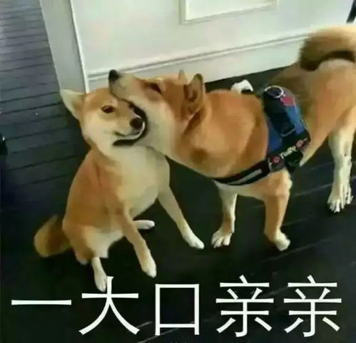 未来雨水中南部出没温度