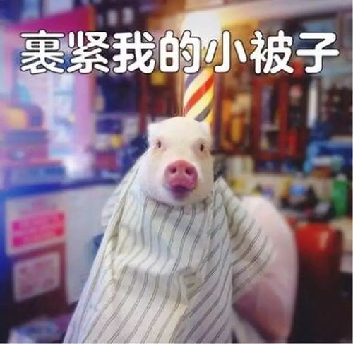 您的冷空气正在派送中,请注意查收