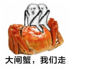 皮皮虾我们走是什么梗为什么这么火网友玩疯新一轮表情包