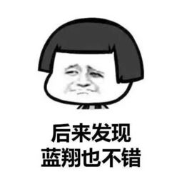 自己的心路历程自己看了都想哭