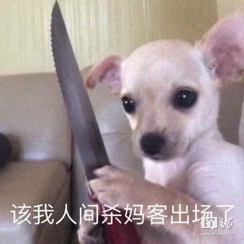 邻居大早晨八点搞装修