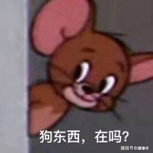 最新热门表情包图片微信抖音qq聊天常用