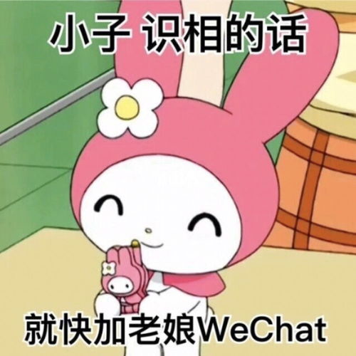 美乐蒂表情包第三弹