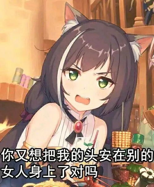 哔哩哔哩专栏