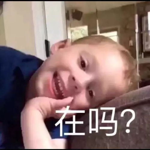 又到一年打脸时
