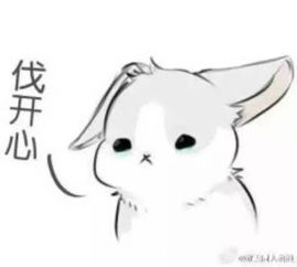 继之关注四六级查分后,师大各院同学的n种表现
