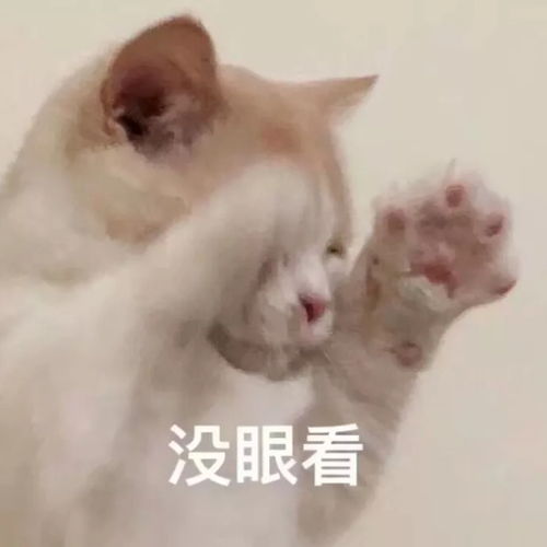 头像如何管理你的老板