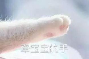 李小雷,说说你抢火车票的经历