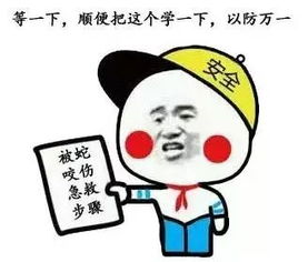 舒舒服服表情包隔离