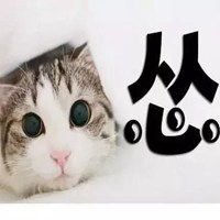 又乖又怂表情包微信头像图片大全