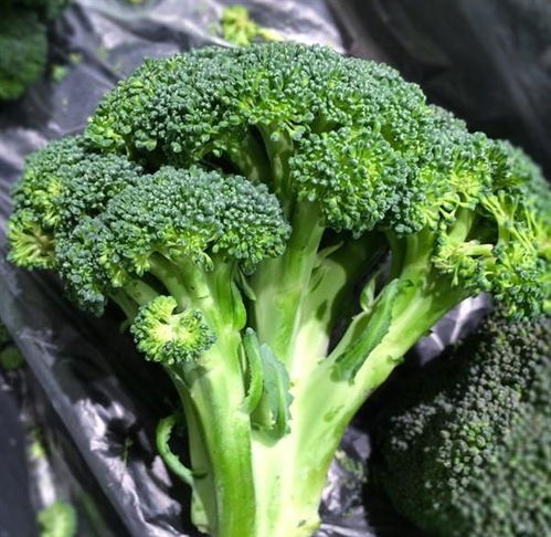 女性想要身体好,推荐3种食物,排毒抗衰,美白护肤,营养又瘦身