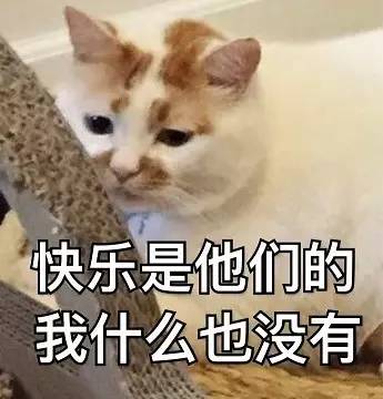 七夕送什么,不如送她一个自由