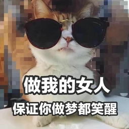 看了弗洛伊德,想来背个功守道的锅知乎
