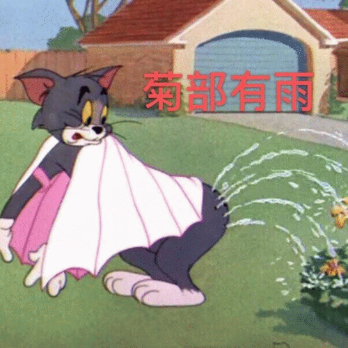 好玩的猫和老鼠表情包合集接下来是不是要骂我了我做错了什么
