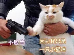 这款无限回购的秋冬面霜,竟然不到80块