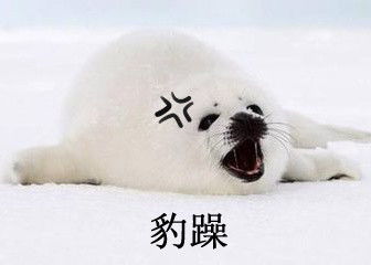 豹毙表情包钱包