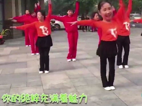 鹿晗我爱你广场舞出炉大妈演绎洗脑神曲