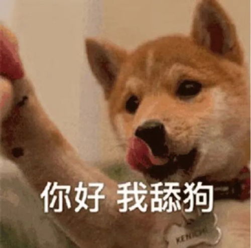 宝,你泡我还是我泡你