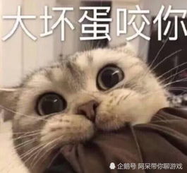 你的小奶狗不秒回你消息用这几个表情包,瞬间萌化男友的心