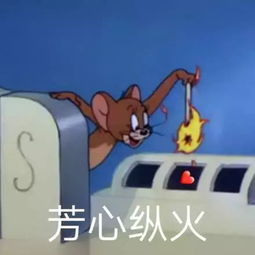 tomford登陆天猫这回钱包是真的要被掏空了
