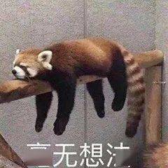 高考完的那个夏天,你在干吗